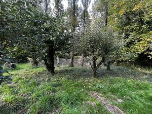 Vente terrain 6127 m² à Limoges (87000)  164 900 €