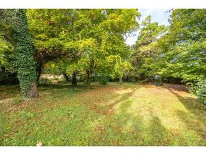 Terrain arboré de 904m²
