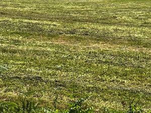 Vente terrain 497 m² à Saint-Georges-des-Coteaux (17810)  58 900 €