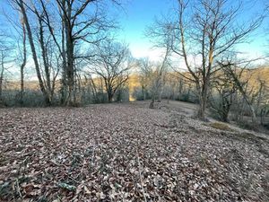 Vente terrain 5300 m² à Lasseube (64290)  87 920 €