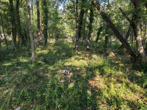 Vente terrain 754 m² à Trans-en-Provence (83720)  149 000 €