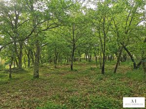 Vente terrain 720 m² à Coux (07000)  76 500 €