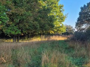 Vente terrain 460 m² à Meaux (77100)  199 000 €