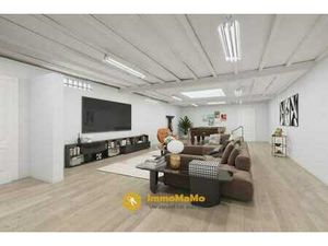 OPTIE - RUIM GELIJKVLOERS APPARTEMENT VAN 250m² TE KOOP I...