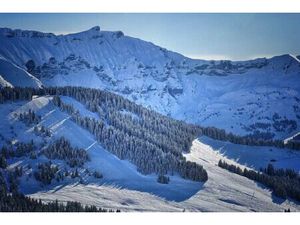 Achat Terrain 6 482m² MEGEVE 74120