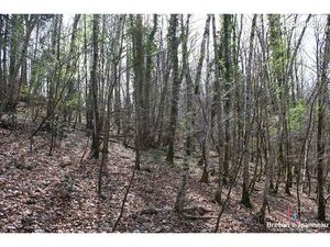 Terrain 94036 m² MONTENAY