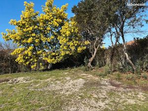 Vente terrain 500 m² à Labenne (40530)  275 000 €