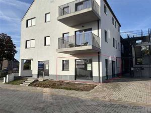 RDC - Profession libérale