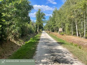 Propriété de chasse et d'agrément 43 ha environ