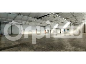 LOCAL D'ACTIVITE A LOUER