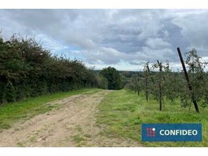 Terrain agricole à vendre à Oude Leuvensebaan zn Loksbergen (RBU58289)