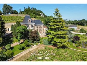 Vente propriété 13 pièces 500 m² à Vernou-sur-Brenne (37210)  1 550 000 €