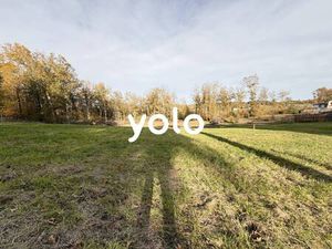 Yolo Immobilier