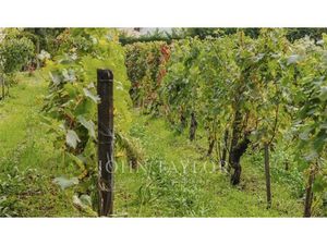 Château à vendre dans le quartier Sud