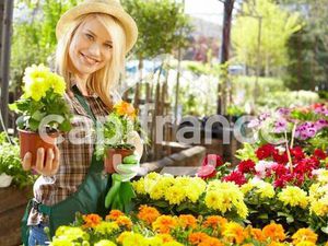 PASDELOUP Olivier Capifrance