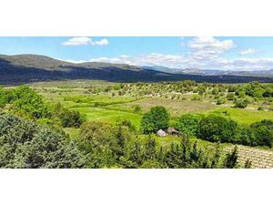 Terrain Pompignan (30)