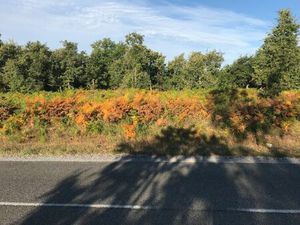 Vente terrain 746 m² Le Temple (33680)