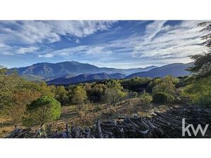 Vente maison 13 pièces