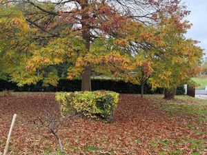 Vente terrain 340 m² Mareil-le-Guyon (78490)