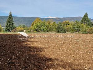 Un terrain d’exception avec vue sur le Mont Ventoux.