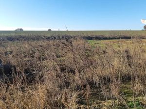 Vente terrain 446 m² à Merville (31330)  111 000 €