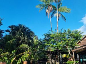 Maison de charme avec piscine et carbet