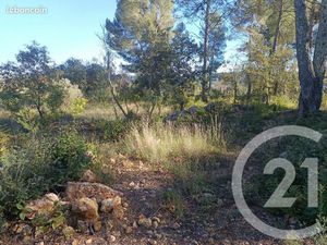 Terrain 1 481 m² Montfort Sur Argens