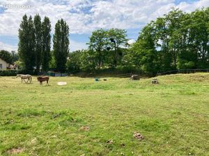 Terrain constructible