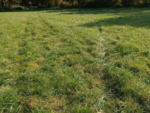 Terrain de loisirs 2 9 hectares