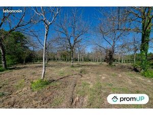 Terrain 10 000 m² Reans