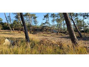 Vente Terrain à Crozon (29160) : à vendre / Crozon