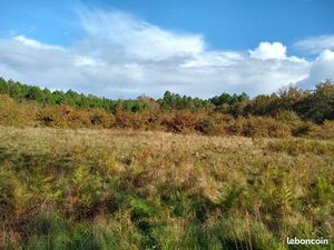 Terrain 5800 m2 à sore