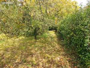 Vente terrain constructible