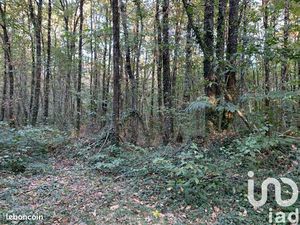 Terrain 7280 m² Les Lucs-sur-Boulogne