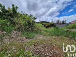 Vente terrain 610 m² à La riviere (97421)  125 000 €