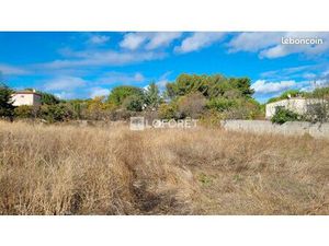 Terrain 1000 m² CASTELNAU LE LEZ