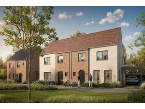 Energiezuinige woningen in Waardamme