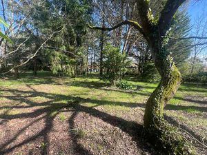 Vente Terrain à Aubigny-les-Clouzeaux (85430) : à vendre / 1712m² Aubigny-les-Clouzeaux