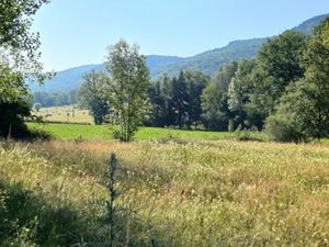 Vente terrain 3002 m² à Bénaix (09300)  49 500 €