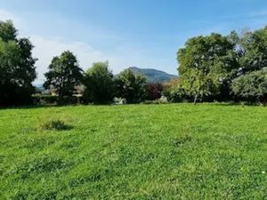 Vente terrain 1231 m² à Marcellaz (74250)  335 000 €