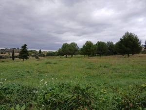 Vente terrain 800 m² à Canet (34800)  169 000 €