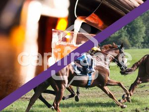 fonds de commerce à vendre MONTEUX 56m2 336 000€