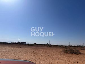 En exclusivité / Terrain à vendre /1 hectare / Route de d'Amezmiz Commune de TAMESLOUHT