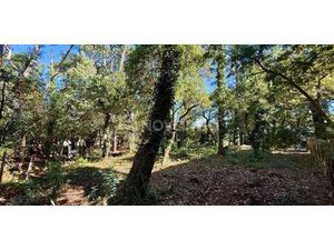 Terrain La Plage - Capbreton (40)