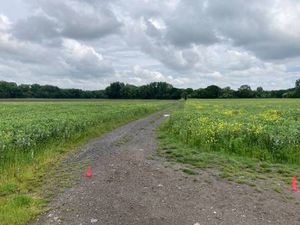 Terrain constructible viabilisé à vendre