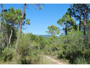 Vente terrain 943 m² Salernes (83690)