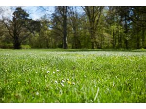 Vente terrain 391 m² à Notre-Dame-d'Oé (37390)  99 700 €