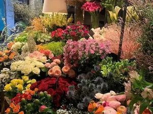 Vente locaux professionnels 40.09 m² à Fontainebleau (77300)  99 000 €