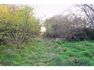 Vente terrain 1170 m² à Velaine-sous-Amance (54280)  165 000 €