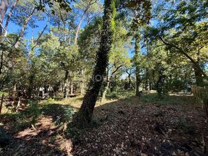 Vente terrain 627 m² à Capbreton (40130)  690 000 €